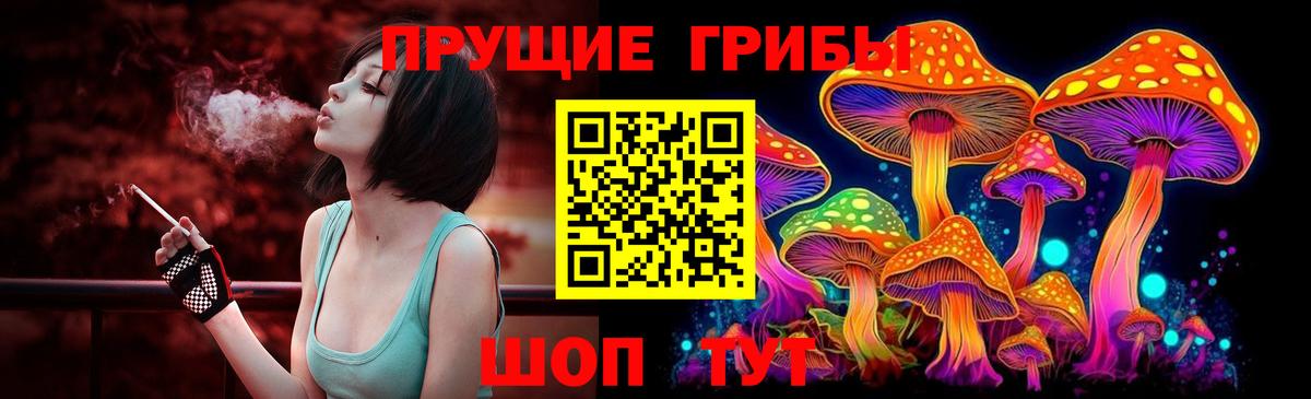 купить наркотики цена  Галлюциногенные грибы Psilocybe  Баксан  Вход с VPN  Псилоцибиновые грибы мухоморы 